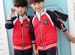 园服